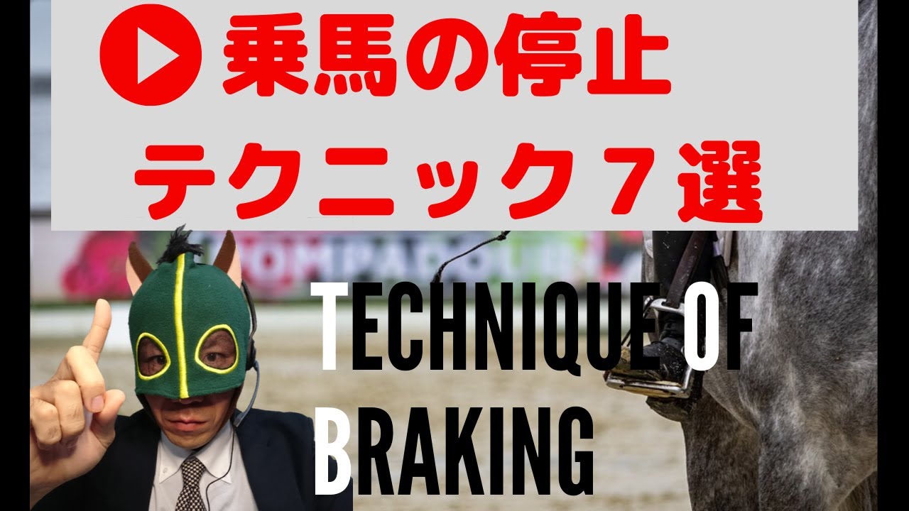 馬を停止させる・止めるための7つの基本の考え方とは！？　～全肢そろえたキレイな停止を目指す～