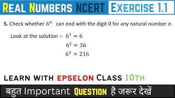 check whether 6n can end with the digit 0 for any natural number n | class 10 q5 ex 1.1 | chapter 1