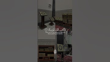 سورة القارعة اسلام صبحي