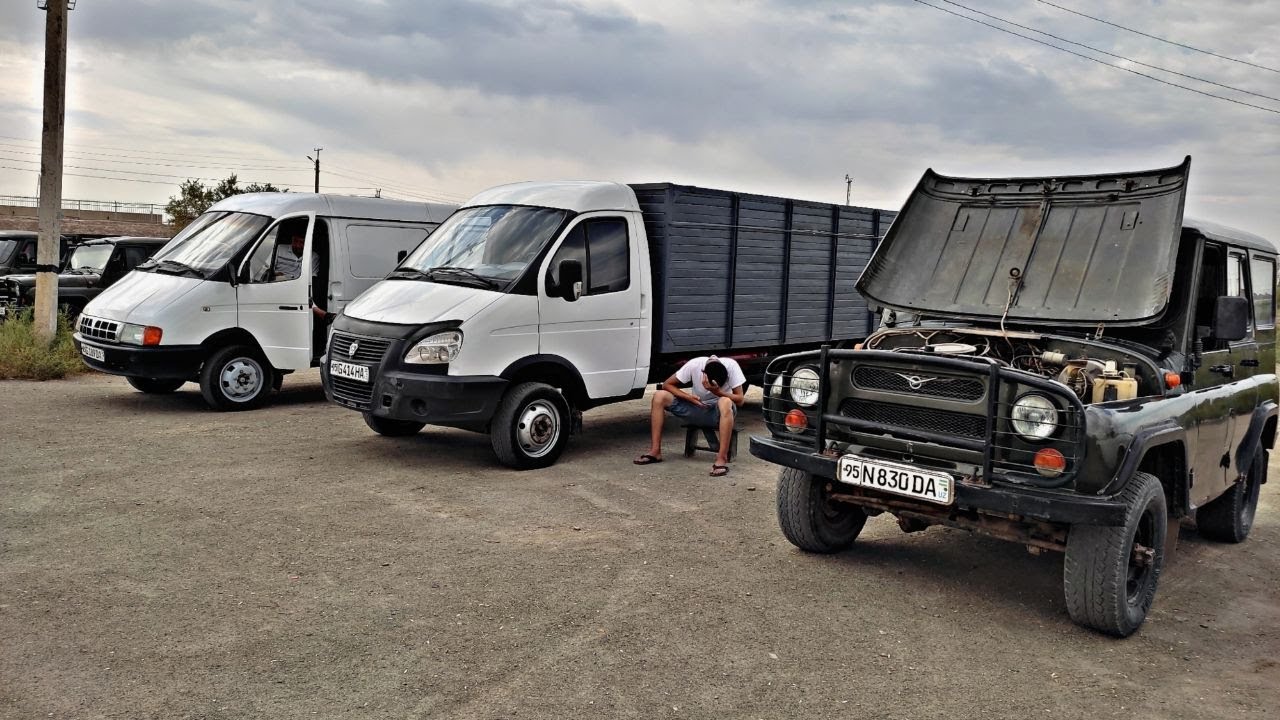 Газель нархлари узбекистонда