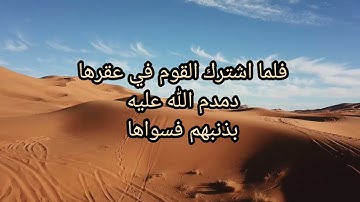 قصة قوم ثمود ... من هو عاقر الناقة؟  ...سورة الشمس .