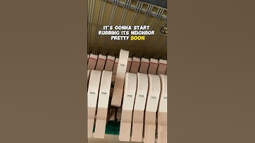 Easy fix rubbing piano hammer #piano #pianotuning #pianomusic #woodworking #music #pianocover #fixed