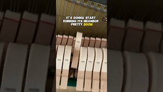 Easy fix rubbing piano hammer #piano #pianotuning #pianomusic #woodworking #music #pianocover #fixed