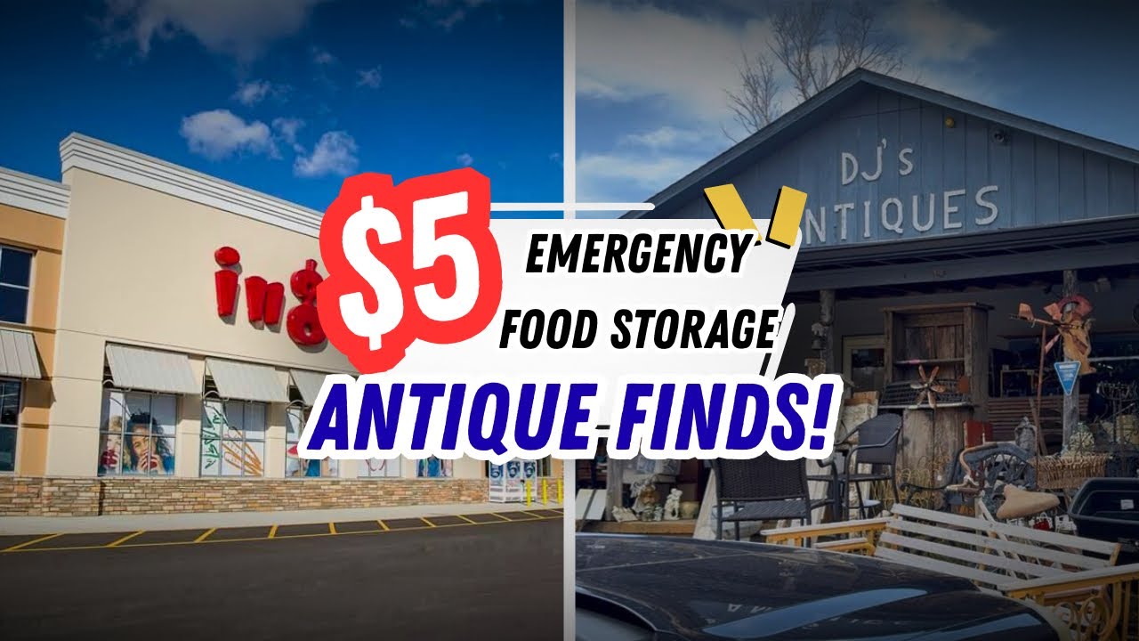 ⭐ $5 Emergency Food Storage?! | Antique Shop Finds (Prices Are CRAZY)