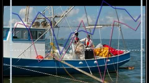 Biometric Responses to BP