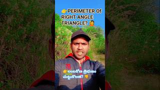 👉Perimeter of right angle triangle? #triangle #science #trapezium #english #mathematics #python
