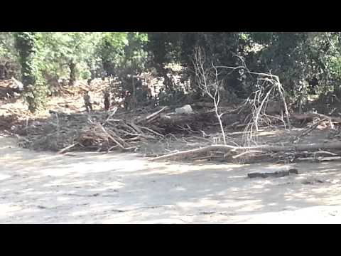 თბილისის სტიქია - ნაწილი №4