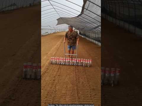 China's amazing farming