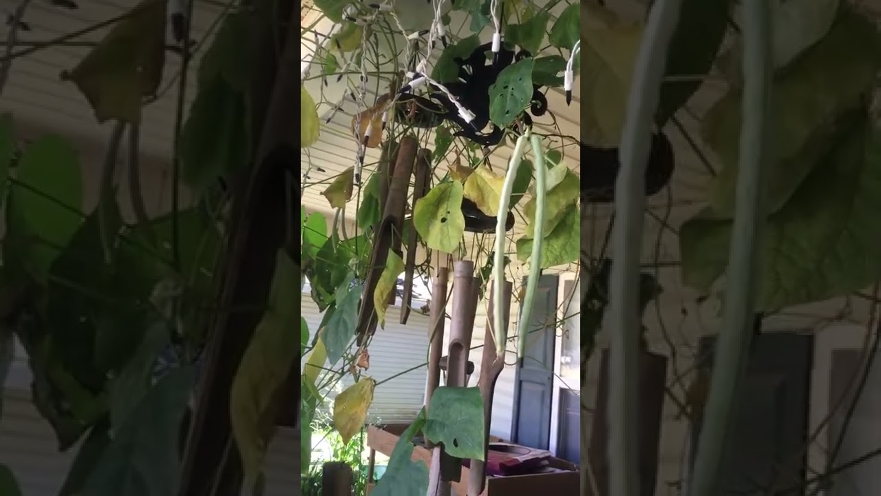 Free Stock! Invest one Penny And Get Up To $3000 Worth Of Free Stock!