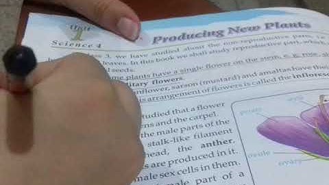 Class 4 Science Chapter 1 Lec 1