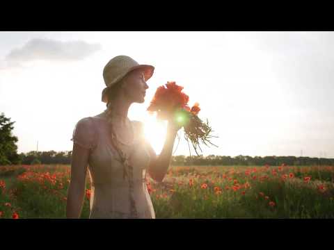 Red poppies | NYMF Backstage