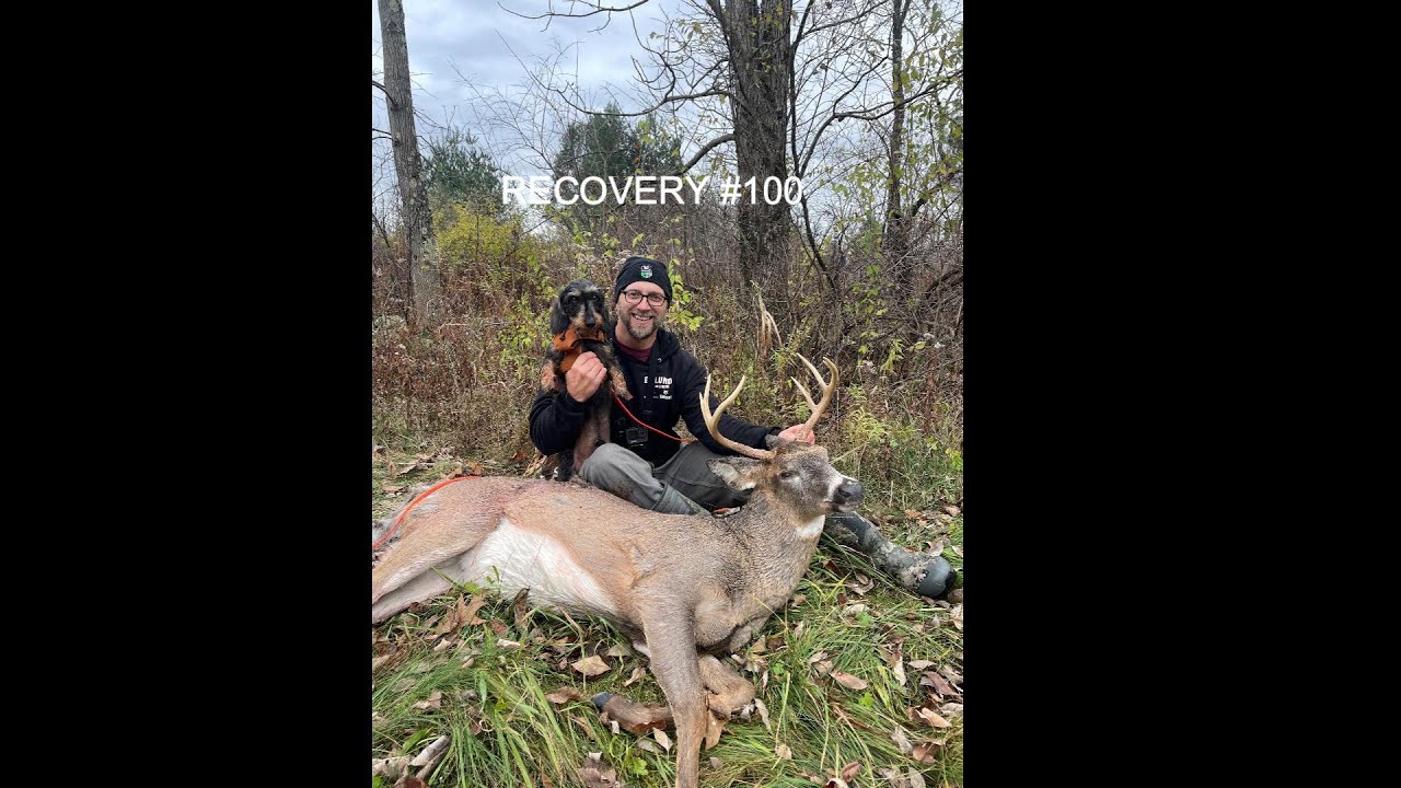 Winston the Deer Tracking Dog gets 100th Recovery YouTube