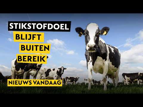 PBL waarschuwt dat stikstofdoelen zonder extra maatregelen buiten bereik blijven