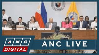 Hearing recap: AMLC confirms VP Sara-linked transactions match Trillanes affidavit | ANC