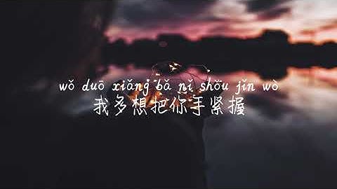 【我们的爱没有错-胡夏】WO MEN DE AI MEI YOU CUO-HUA XIA/TIKTOK,抖音,틱톡/병음가사,拼音歌词, pinyin lyrics/광고 없음, No AD,无广告