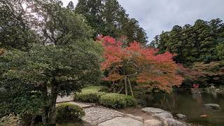 Amazing Incredible Beautiful Fall Colors Narita park Japan