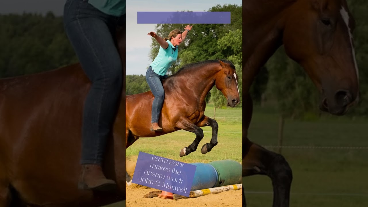 Als paarden je grootste passie zijn