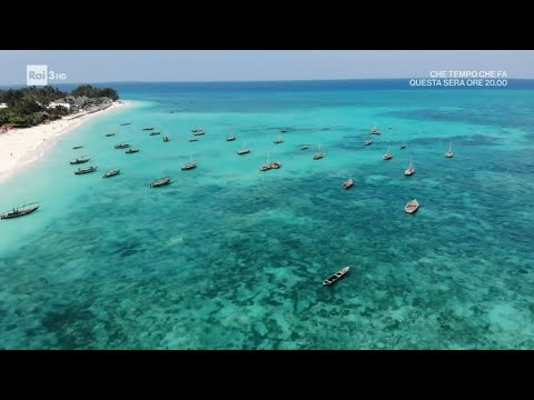 Video: Zanzibar: una storia delle isole delle spezie della Tanzania