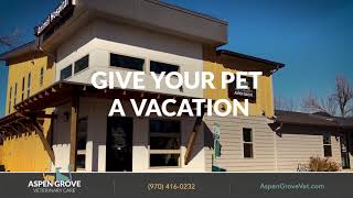 The Cabins | Boarding and Doggy Day Care | Aspen Grove Veterinary Care by Aspen Grove Veterinary Care - Fort Collins 89 views 4 years ago 16 seconds