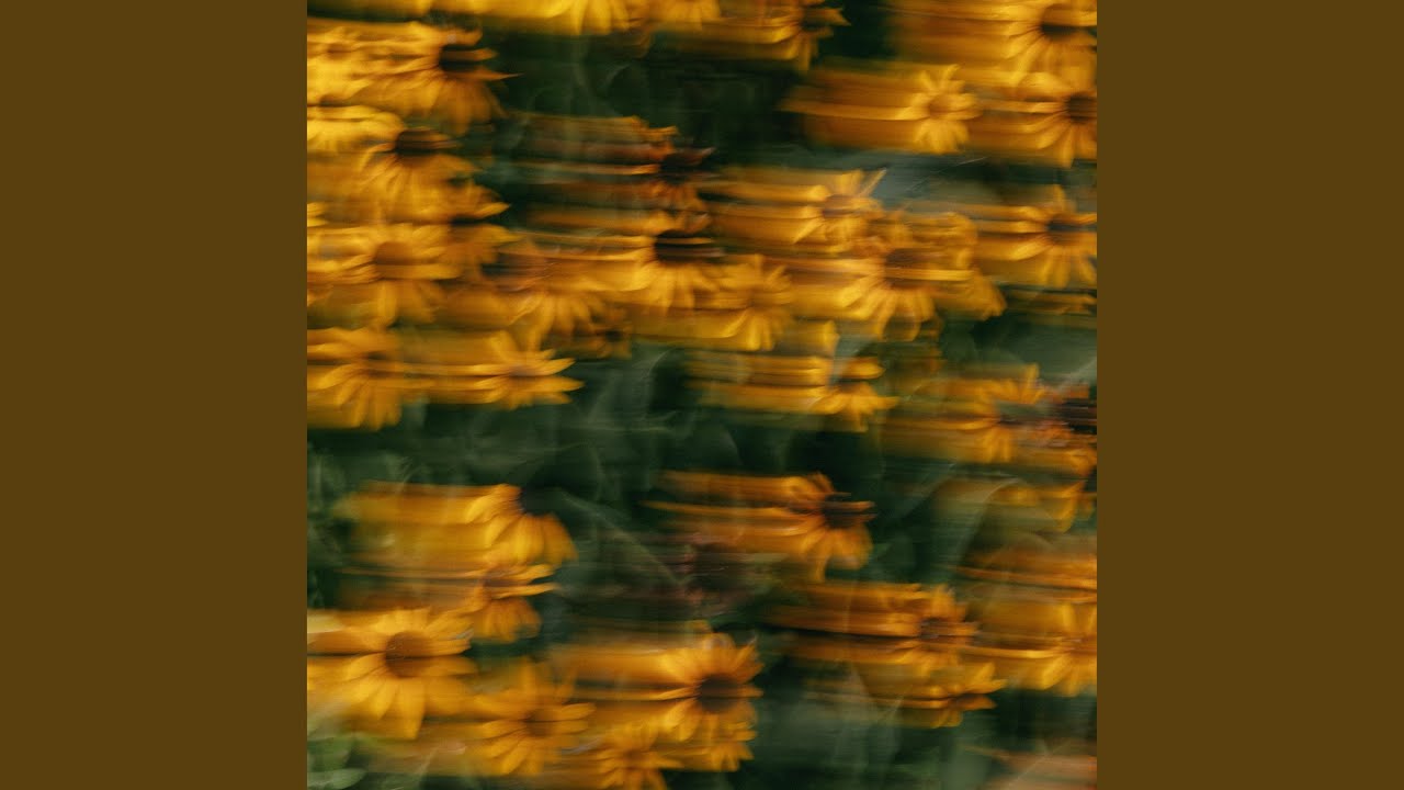 Watch Bloom (Piano & Strings) on YouTube Watch Bloom (Piano & Strings) on YouTube