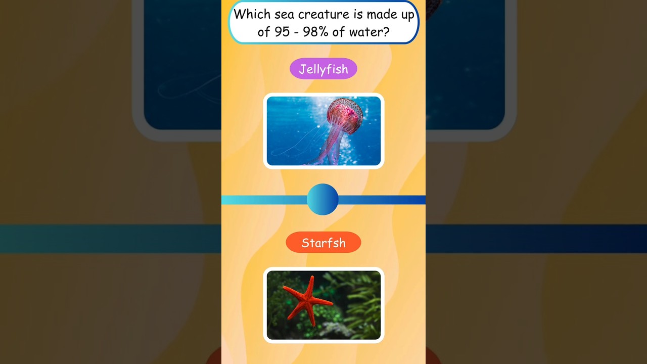 Under the sea quiz | Quiz for kids 