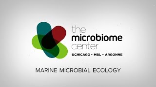 Marine Microbial Ecology with Cathy Pfister