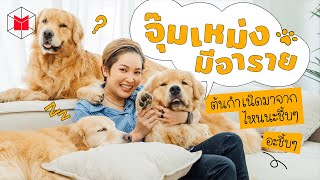 วันนี้จุ๊มเหม่งมีอะราย? อะชึ้บๆ @japanandfriends | The MATTER screenshot 2