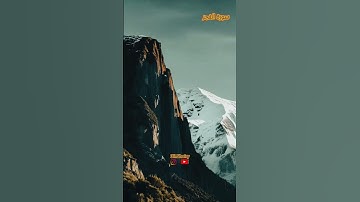 سورة الفجر شيخ نبيل الرفاعي