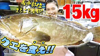 【高級魚】15kgのクエまるごと調理！？希少部位も全部