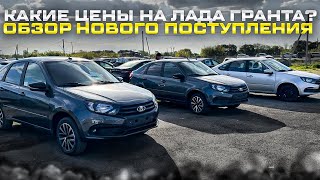 КАКИЕ ЦЕНЫ НА ЛАДА ГРАНТА? ОБЗОР НОВОГО ПОСТУПЛЕНИЯ. ОТЗЫВ КЛИЕНТОВ С ДОСТАВКИ В ДОНЕЦКУЮ РЕСПУБЛИКУ