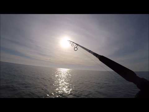 spinning al tonno 2020  da panico