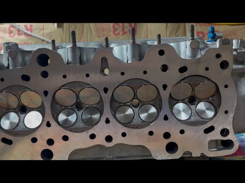 B16 Head Build, Brian Crower, Supertech, and Ferrea Head Build Up!