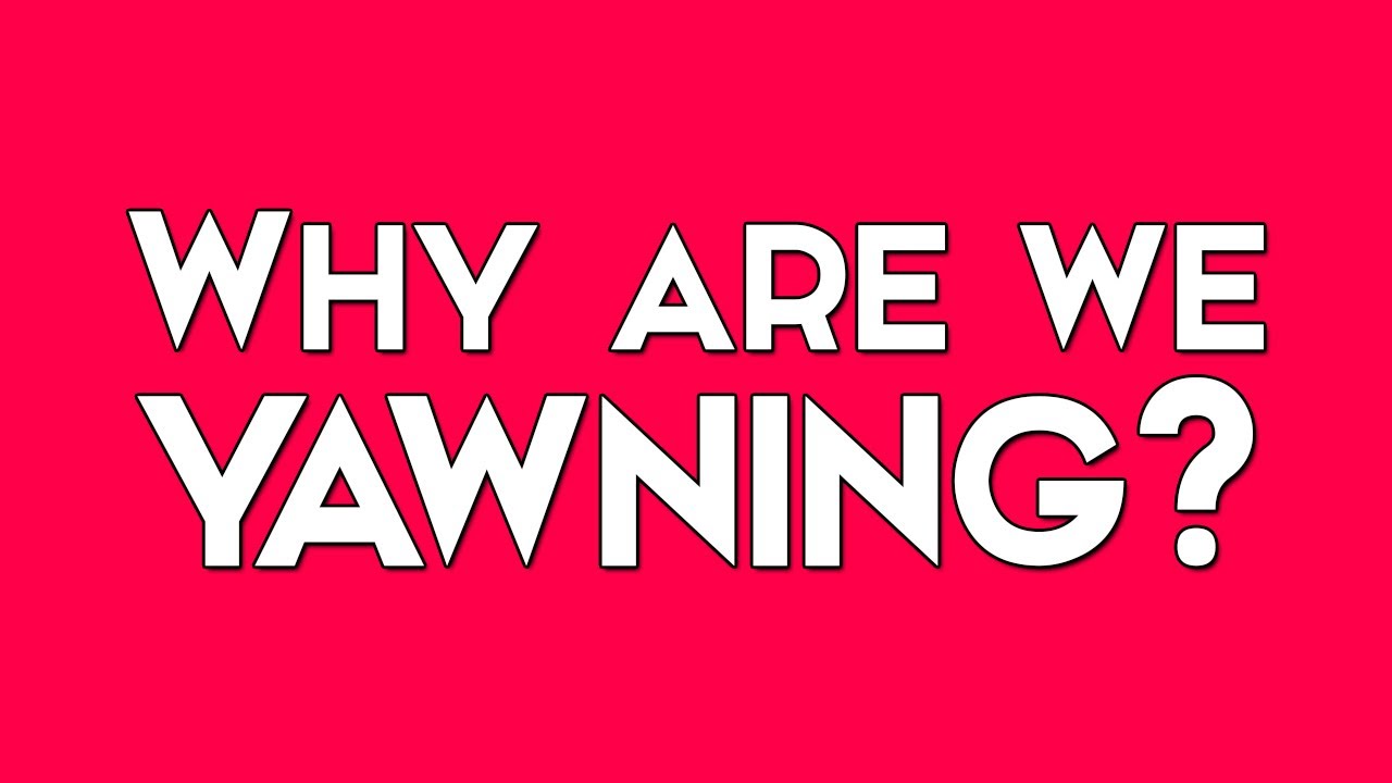 39 FACTS ABOUT YOUR BRAIN THAT WILL BLOW YOUR MIND !