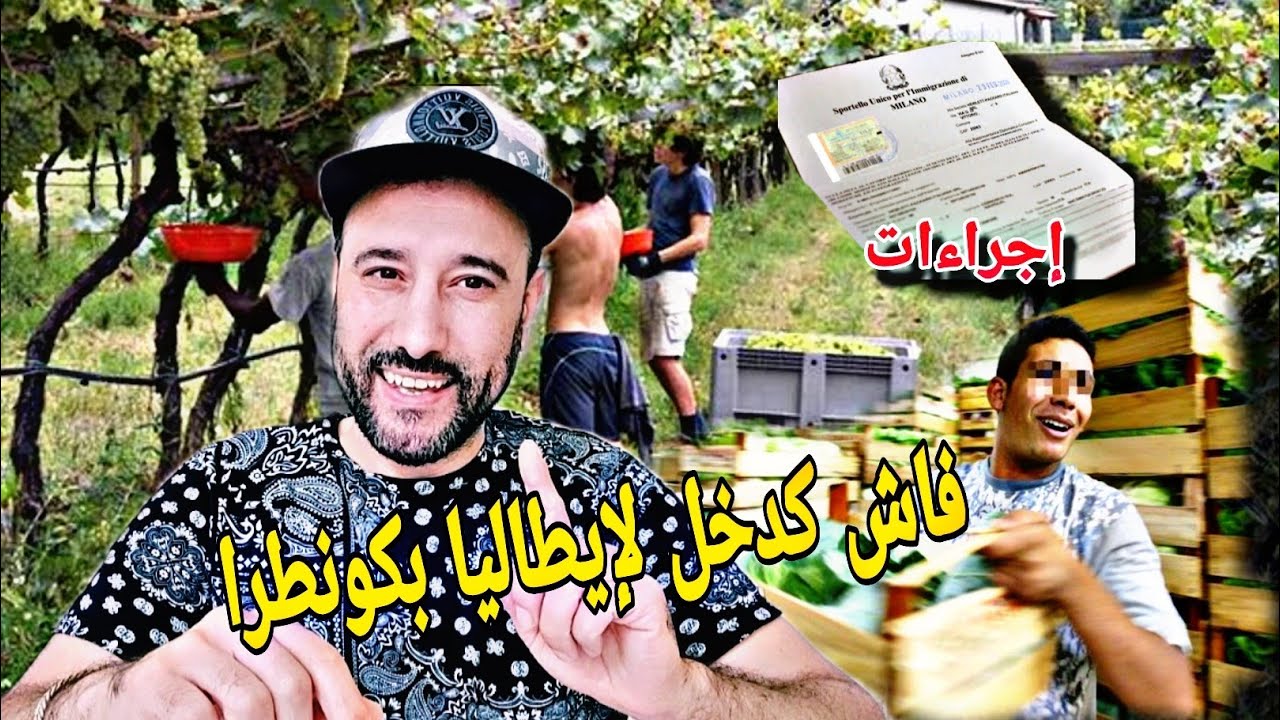الإجراءات الأولى عند دخولك إلى إيطاليا🇮🇹 بعقد عمل