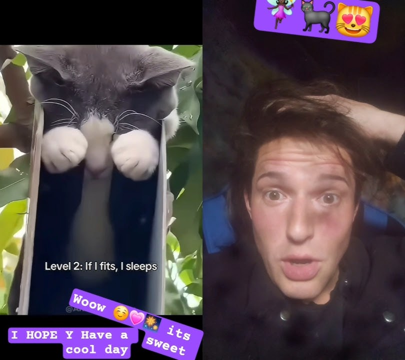 4 sec Y Happy 😊🔝🎆#trending #funny #shortvideo #shorts #video #cat  #music #noway #inpossible #dj #ØI