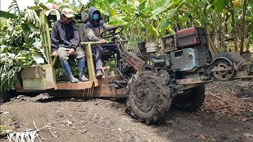 xe công nông 2 câu chở chuối đi đường lầy cưc kỳ khỏe//KIU 81/