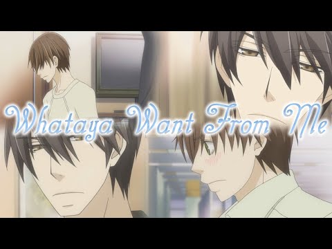 [SiH] Whataya Want From Me - Ritsu x Takano