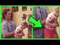 Full House Mistakes You Missed