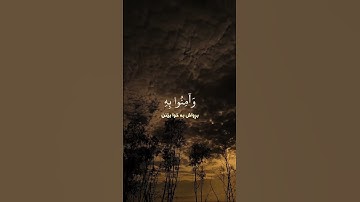 #القاريء #شریف_مصطفى #سورة الاحقاف #المصحف #فولو #الرحمن #راحة_نفسية #اعتني