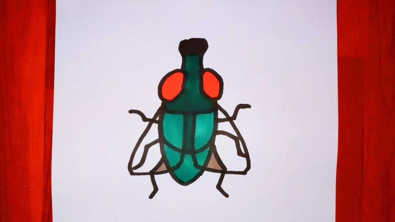 Draw a fly - YouTube