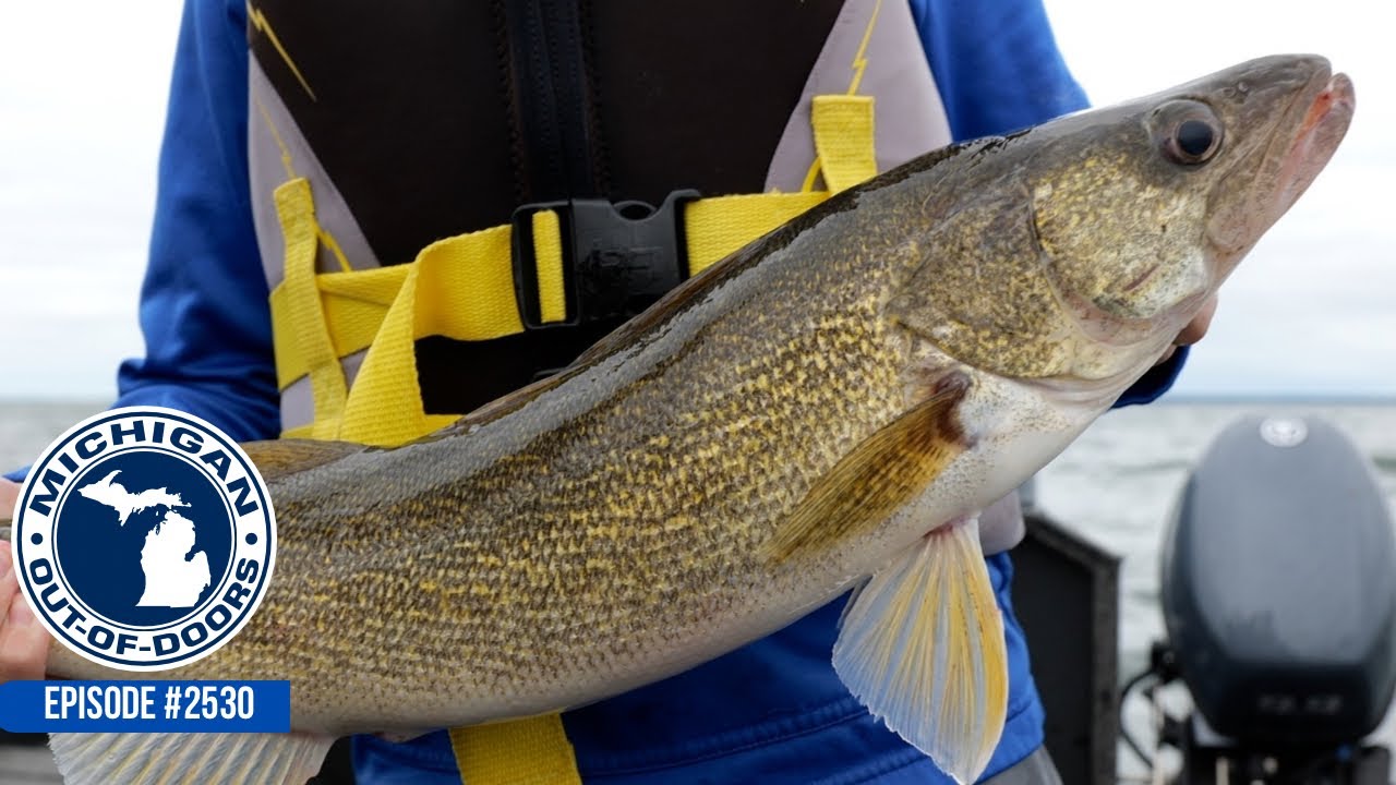 Salmon Fishing, Walleye Fishing, UP Deer Regulations; Michigan Out of Doors TV #2530