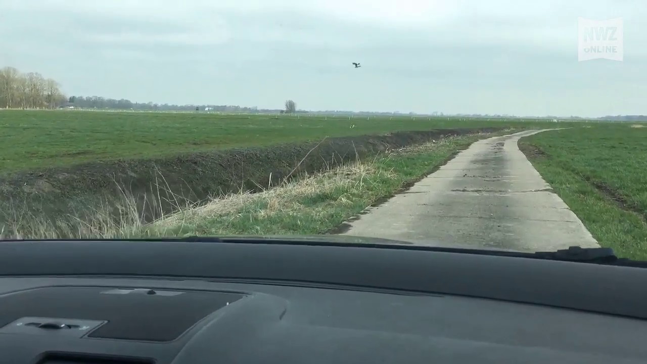 Kleistraße in der Gemeinde Stadland einer der schlechtesten Wirtschaftswege der Wesermarsch