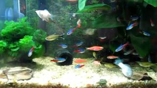MVI_3387.MOV