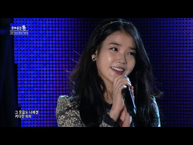 아이유 - 너의 의미 (IU - Meaning of you) Yeosu Music Festival 2014