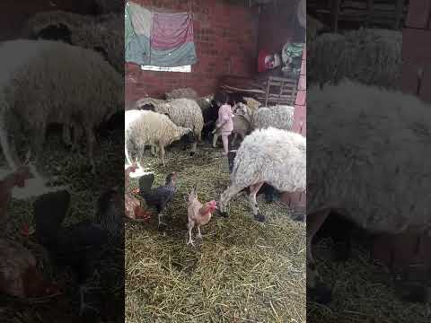 ٢٢ مايو ٢٠٢٤