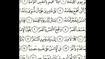 سورة القيامة بصوت الشيخ ميثم القيسي