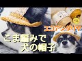 【かぎ針犬用帽子】エコアンダリヤ こま編みだけで編める犬用帽子が可愛い