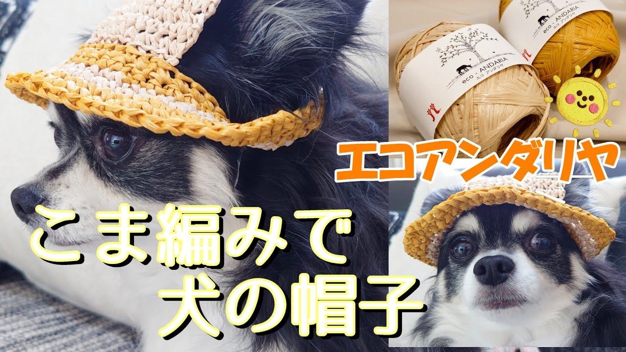 【かぎ針犬用帽子】エコアンダリヤ こま編みだけで編める犬用帽子が可愛い