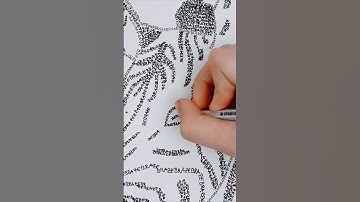 Satisfying Zebra | Letter Art 🦓