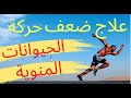 الحلقة (19)  علاج مشكلة ضعف حركة الحيوانات المنوية